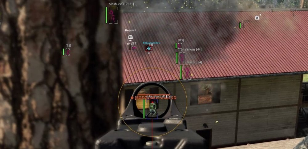 cw1.jpg